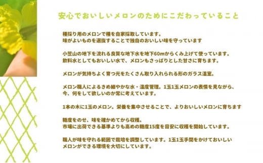 【お食事券】2名様分 農家カフェで味わうメロンパフェとメロン紅茶セット