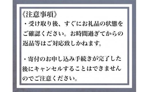 ＼リピーター多数！／バター香る 大きなクロワッサン 12個セット＼リピーター多数！／バター香る 大きなクロワッサン 12個セット【バター 大きな 12個セット リピーター多数 香り 焼きたて フレッシュ パン 朝食 手作り お取り寄せ ギフト ベーカリー おすすめ 人気 プレゼント】