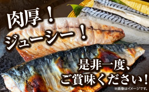 ご家庭用 塩さばフィレ 2kg 株式会社魚鶴商店 《30日以内に出荷予定(土日祝除く)》 さば 塩サバ 鯖 さば サバフィレ 魚 焼き魚 海鮮 冷凍