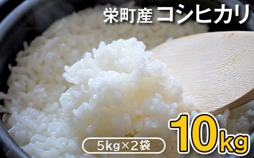 14-1令和6年産米（12月下旬発送）栄町産コシヒカリ10kg（5kg袋×2）北王ファーム ※沖縄・離島への配送不可 ※2024年12月下旬頃より順次発送予定