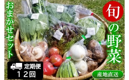 『定期便』全12回 野菜 おまかせセット 毎月届く定期便 旬 道の駅直送 季節野菜 豊平どんぐり村 さんさん市_SA073_001s12