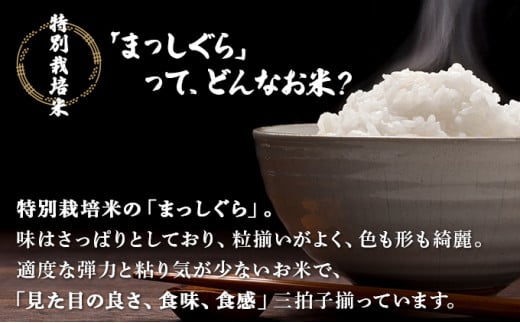 ＜3か月定期便＞青森県産お米セット（特別栽培米「まっしぐら（みよこ米）」10kg・青天の霹靂5kg）　【02402-0136】