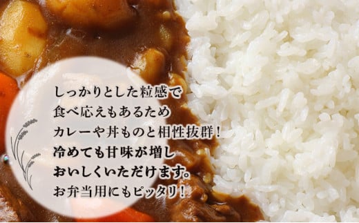 ＜3か月定期便＞青森県産お米セット（特別栽培米「まっしぐら（みよこ米）」10kg・青天の霹靂5kg）　【02402-0136】