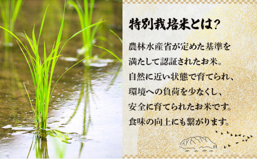 ＜3か月定期便＞青森県産お米セット（特別栽培米「まっしぐら（みよこ米）」10kg・青天の霹靂5kg）　【02402-0136】