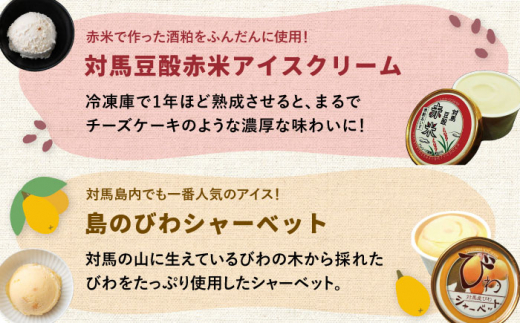 対馬 プレミアム アイス 6種セット《対馬市》【 特定非営利活動法人 對馬次世代協議会（対馬コノソレ）】アイスクリーム セット 九州 長崎 スイーツ [WAM004]