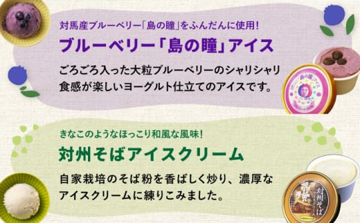 対馬 プレミアム アイス 6種セット《対馬市》【 特定非営利活動法人 對馬次世代協議会（対馬コノソレ）】アイスクリーム セット 九州 長崎 スイーツ [WAM004]