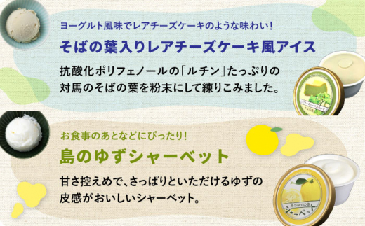 対馬 プレミアム アイス 6種セット《対馬市》【 特定非営利活動法人 對馬次世代協議会（対馬コノソレ）】アイスクリーム セット 九州 長崎 スイーツ [WAM004]