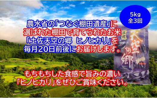 農水水産省の「つなぐ棚田遺産」に選ばれた棚田で育てられた 棚田米土佐天空の郷 ヒノヒカリ　5kg定期便　毎月お届け全3回