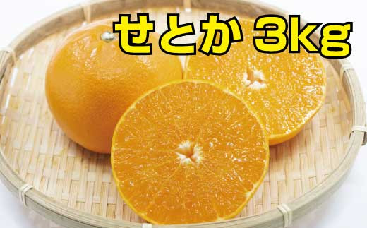 ＼光センサー選別／ せとか 約3kg【ご家庭用】 ※2022年2月下旬より順次発送予定（お届け日指定不可）【nuk126】