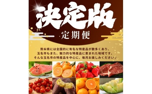 【 定期便 10回 】 熊本県 決定版 |（ いちご みかん 不知火 デコポン スイカ メロン あか牛 牛肉 海苔 焼き海苔 馬肉 ウインナー 馬刺し 餃子 かんしょ さつまいも ） 肉 果物 フルーツ くだもの 定期 定期便 熊本県 玉名市