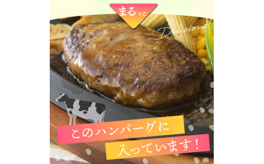 120042001 おいしいWタンパク スマイルバーグ(90g×24)｜ふるさと納税 石狩市 冷凍したまま焼ける 北海道 ハンバーグ ヘルシー