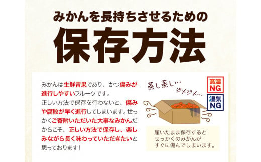 【訳ありご家庭用】和歌山有田みかん5kg（S～Lサイズいずれかお届け） 厳選館《11月中旬-1月末頃出荷》和歌山県 日高川町 有田みかん みかん 柑橘 ミカン 蜜柑 送料無料