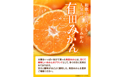 【訳ありご家庭用】和歌山有田みかん5kg（S～Lサイズいずれかお届け） 厳選館《11月中旬-1月末頃出荷》和歌山県 日高川町 有田みかん みかん 柑橘 ミカン 蜜柑 送料無料