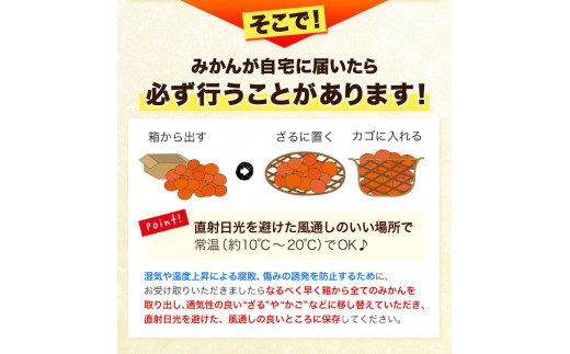 【訳ありご家庭用】和歌山有田みかん5kg（S～Lサイズいずれかお届け） 厳選館《11月中旬-1月末頃出荷》和歌山県 日高川町 有田みかん みかん 柑橘 ミカン 蜜柑 送料無料