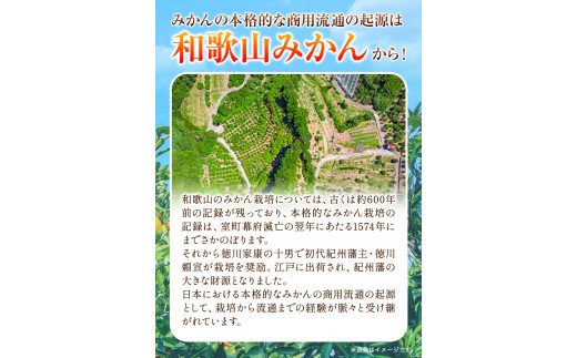 【訳ありご家庭用】和歌山有田みかん5kg（S～Lサイズいずれかお届け） 厳選館《11月中旬-1月末頃出荷》和歌山県 日高川町 有田みかん みかん 柑橘 ミカン 蜜柑 送料無料