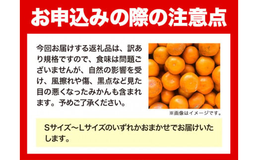 【訳ありご家庭用】和歌山有田みかん5kg（S～Lサイズいずれかお届け） 厳選館《11月中旬-1月末頃出荷》和歌山県 日高川町 有田みかん みかん 柑橘 ミカン 蜜柑 送料無料