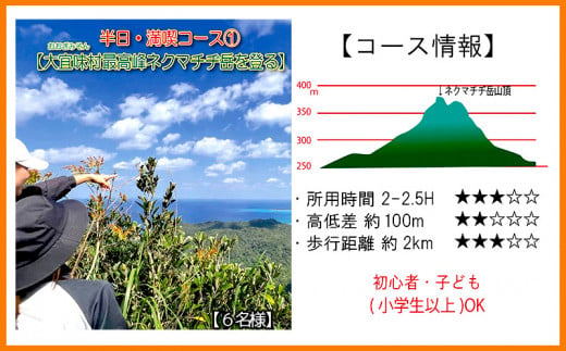 沖縄県北部やんばる・大宜味村最高峰ネクマチヂ岳を登る【6名様】