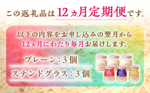 【全12回定期便】南山手プリンプレーン3個、ステンドグラス3種セット 長崎県/アクトフォー株式会社 [42ABAU021]