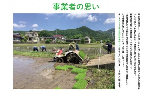 【新米先行予約】アミーゴ米コシヒカリ（6年目）玄米5kg 茨城県 大子町 米 自然栽培米(CA006)