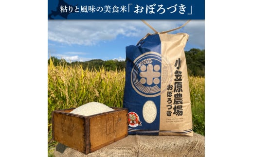 300005002【令和6年度産】北海道 厚田産米 小笠原農場 おぼろづき・ななつぼし各5kg(計10kg)