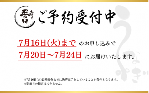 【予約 土用の丑の日まで（7月20日～24日）に届く】1尾で約240gのビッグサイズ うなぎ蒲焼 2尾 計約480g （タレ・山椒付き） 中国産 鰻 うなぎ うなぎの蒲焼 炭火焼き 炭火 特大サイズ【nks700B-dy】