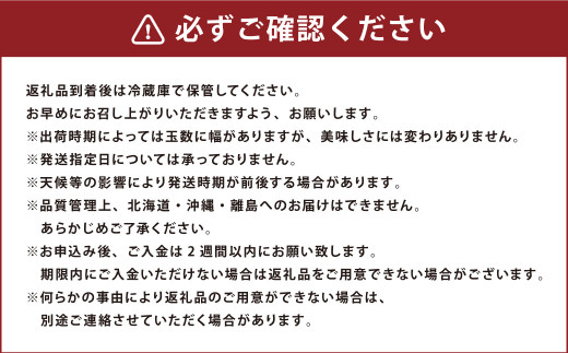 福岡のリッチなフルーツ 3回定期便