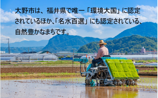 【先行予約】【令和6年産 新米】減農薬・減化学肥料の特別栽培コシヒカリ 玄米 5kg 