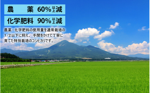 【先行予約】【令和6年産 新米】減農薬・減化学肥料の特別栽培コシヒカリ 玄米 5kg 