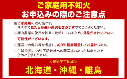 訳あり 不知火 【 デコポン と 同品種 】 みかん ご家庭用 4kg+120g(傷み補償分) 池田鹿蔵農園 @日高町 《2月上旬-3月末頃出荷》和歌山県 日高町 送料無料 しらぬい でこぽん 家庭用 訳あり 不知火 訳あり デコポン わけあり【配送不可地域あり】