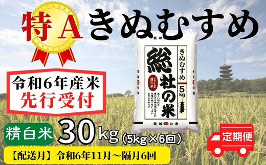 【令和6年産】特Aきぬむすめ【精白米】30kg 定期便（5kg×6回）岡山県総社市産米〔令和6年11月・令和7年1月・3月・5月・7月・9月配送〕24-042-003