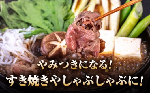 長崎和牛 あか牛 500g（すき焼き・しゃぶしゃぶ用）《対馬市》【株式会社Tsukushi】 対馬 牛 和牛 すき焼 しゃぶしゃぶ 鍋 冷凍配送 [WCR007]