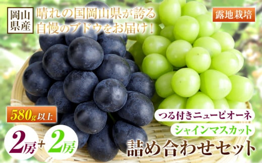 234.【先行予約】 岡山県産 つる付き！ニューピオーネ 2房 1房あたり580g & シャインマスカット 2房 1房あたり580g セット 露地栽培【配送不可地域あり】ニューピオーネ シャインマスカット《9月上旬-10月末頃に出荷予定(土日祝除く)》 岡山県 矢掛町 晴王 ぶどう 詰め合わせ 果物