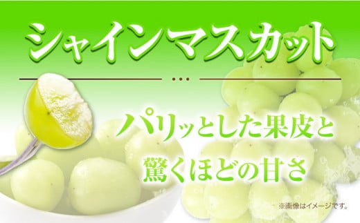 234.【先行予約】 岡山県産 つる付き！ニューピオーネ 2房 1房あたり580g & シャインマスカット 2房 1房あたり580g セット 露地栽培【配送不可地域あり】ニューピオーネ シャインマスカット《9月上旬-10月末頃に出荷予定(土日祝除く)》 岡山県 矢掛町 晴王 ぶどう 詰め合わせ 果物