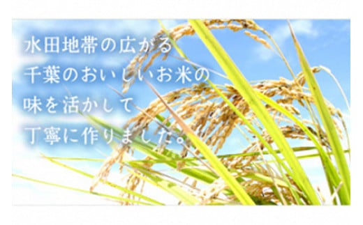 工場直送！さっくり揚げ [黒胡椒] 10袋入｜おかき せんべい 菓子 もち米 ヘルシー さくさく おやつ [0460]