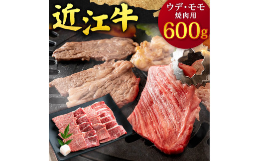 C-B06 近江牛 ウデ ・ モモ 焼肉用 600g 本多商店 牛 牛肉 国産 和牛 ブランド牛 赤身 やきにく 焼き肉 焼肉 炒め物 煮物 ギフト 贈り物 高級 人気 近江 東近江市 滋賀県