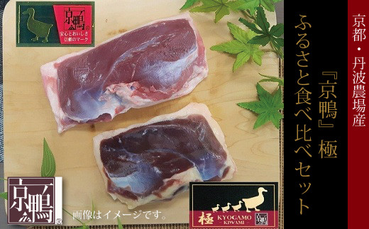 年に一度だけ出荷する希少な京鴨のヒネ。それが“京鴨 極”。その深い味わいをぜひ。