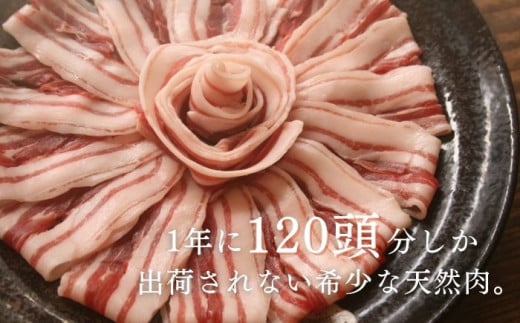 天然 猪肉 極上 バラ スライス ＆ 鹿 挽肉 セット 計500g《対馬市》【一般社団法人 daidai】焼肉 赤身 肉 お肉 鹿肉 猪肉 ジビエ ひき肉 ミンチ BBQ タンパク [WBH041]