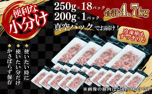 【農場直送】真空パック　北海道産　北島ワインポーク　挽き肉　4.7kg【小分け】