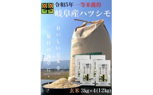 岐阜県養老町産　令和5年産　ハツシモSL　一等米　玄米　　3kg×4(12kg)【1499375】