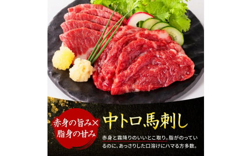 【美味しくてヘルシー！】国産 熊本 馬刺し 赤身 霜降り たてがみ 定番部位食べ比べセット【熊本と畜】 送料無料 馬刺し 馬肉 馬　お中元 プレゼント ギフト お歳暮 お土産 お祝い 熊本 九州 美里町 041-492