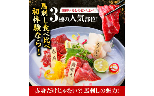 【美味しくてヘルシー！】国産 熊本 馬刺し 赤身 霜降り たてがみ 定番部位食べ比べセット【熊本と畜】 送料無料 馬刺し 馬肉 馬　お中元 プレゼント ギフト お歳暮 お土産 お祝い 熊本 九州 美里町 041-492