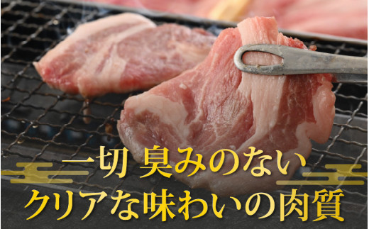 【福井のブランド豚肉】荒島ポーク食べ比べ焼き肉セット3点盛 700ｇ