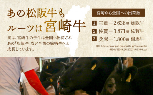 宮崎牛 ステーキ すき焼き 焼肉セット計1.2kg 牛肉 肉 国産 しゃぶしゃぶ すきしゃぶ 焼き肉 スライス 小分け 赤身 ブランド牛 ギフト 贈り物 九州 宮崎 霜降り 赤身 食べ比べ