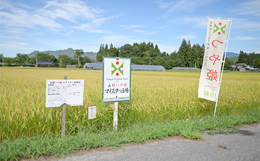 【遠藤農園】令和6年度 山形県高畠町産 つや姫マイスターが作る 特別栽培米 つや姫 玄米 5kg（1袋） 米 お米 おこめ ごはん ブランド米 F20B-931