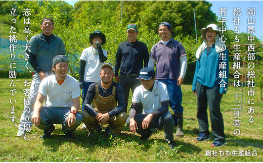 「8月～9月の晩生（おくて）桃」自家用2kg　岡山県総社もも生産組合【2025年産先行予約】25-020-001