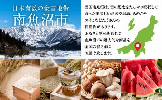 国産 生 きくらげ 100g×5パック 計500g 小分け 栄養豊富 無農薬 無添加 オーガニック 自家栽培 雪国 魚沼ゆきくらげ キクラゲ 木耳 きのこ キノコ ビタミンＤ 肉厚 健康 食品 食物繊維 佃煮 歯ごたえ  菌床 食感 高品質 送料無料 新潟県 南魚沼市