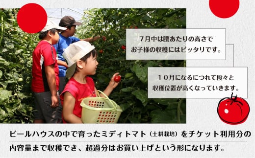 2025年にご利用いただける【期間限定】杤本農園  フルーツトマト狩りチケット 8kg プラン  1枚（4名まで） とまと トマト フルーツトマト チケット トマト狩り とまと狩り