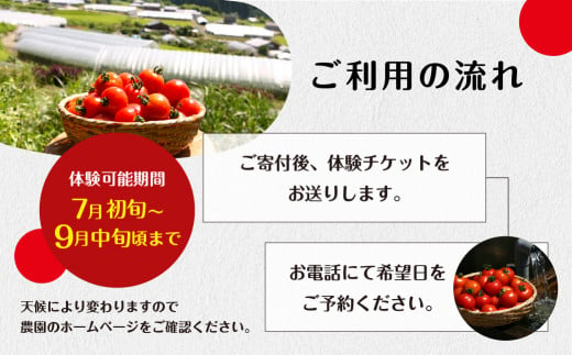 2025年にご利用いただける【期間限定】杤本農園  フルーツトマト狩りチケット 8kg プラン  1枚（4名まで） とまと トマト フルーツトマト チケット トマト狩り とまと狩り