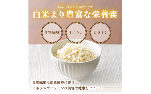 【令和6年産】新米 減農薬コシヒカリ 玄米 5kg 【 米 コシヒカリ こしひかり 5キロ 5kg 玄米 こめ コメ お米 おこめ 農家直送 減農薬 低農薬 綾部 京都 森本ファーム 】