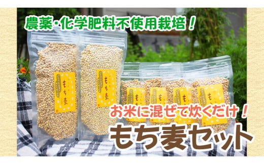 国産もち麦300g2袋 ＆ 100g4袋 d10-21